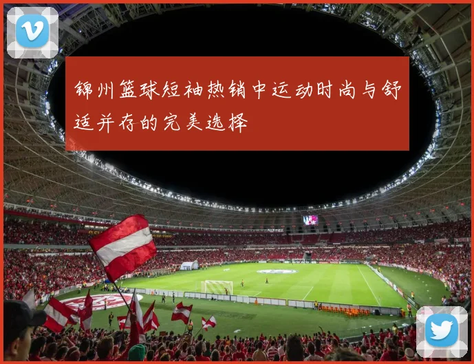 锦州篮球短袖热销中运动时尚与舒适并存的完美选择