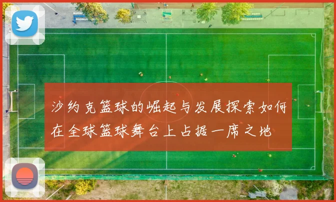 沙约克篮球的崛起与发展探索如何在全球篮球舞台上占据一席之地