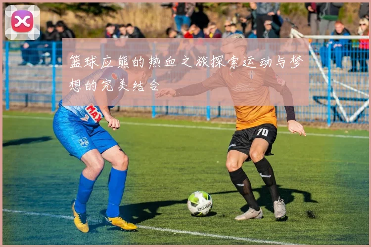 篮球应熊的热血之旅探索运动与梦想的完美结合