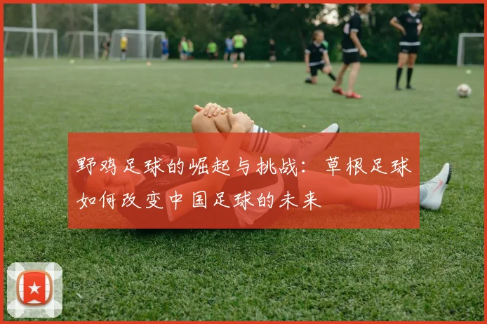 野鸡足球的崛起与挑战：草根足球如何改变中国足球的未来