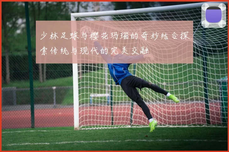 少林足球与樱花玛瑙的奇妙结合探索传统与现代的完美交融