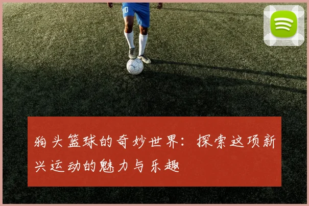 狗头篮球的奇妙世界：探索这项新兴运动的魅力与乐趣
