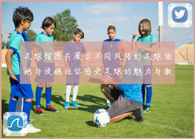 足球馆图片展示不同风格的足球场地与设施让你感受足球的魅力与激情