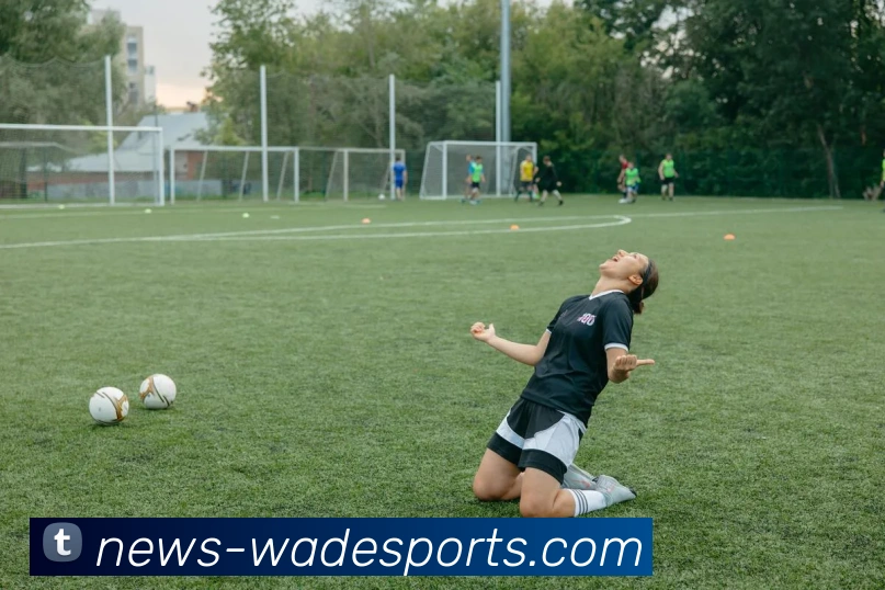 韦德体育APP 高清赛事图